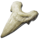 Megalodon Tooth Symbol