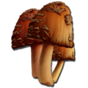 Rare Mushroom Symbol