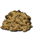 Rockarrot Seed Symbol