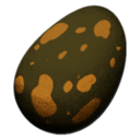 Turtle Egg Symbol